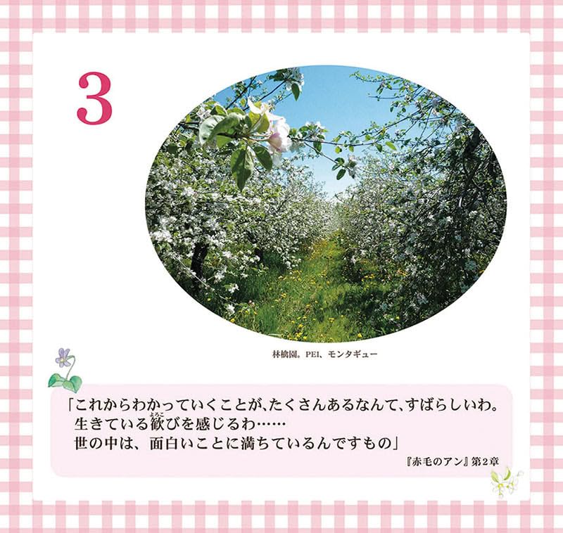 Amazon.co.jp: 【残りわずか】[特典付] 万年日めくり「赤毛のアン」の